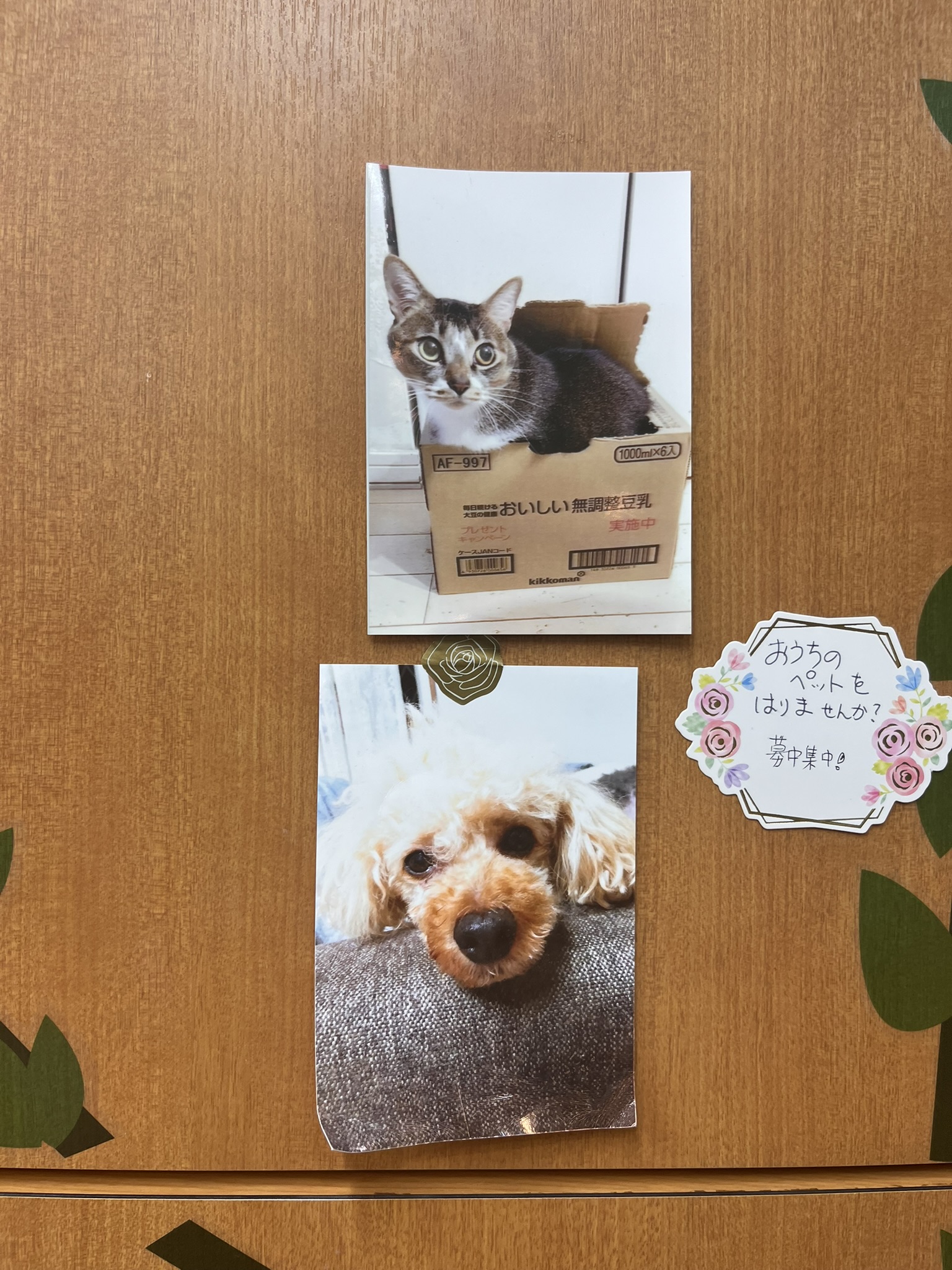 大河原理容店 壁のペット写真コーナー